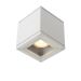AVEN Plafondspot Badkamer 1xGU10 IP65 Wit