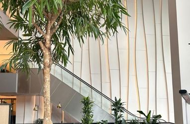 Bekijk onze LED strips in een entreehal LED strips in entreehal