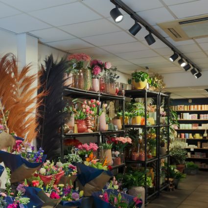 Bekijk LED verlichting in een groentewinkel Bloemenwinkel verlichting